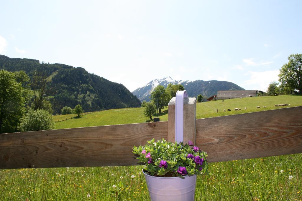 Apartmán Haus Bergliebe Schladming